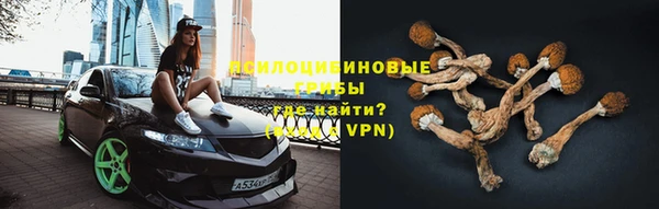 дурь Осинники