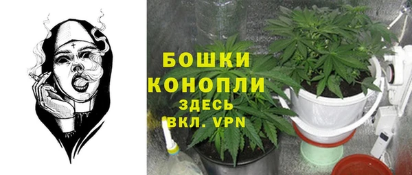 дурь Осинники