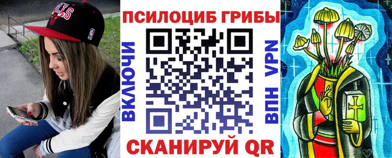 Галлюциногенные грибы мицелий цена Электрогорск